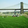 Brooklyn Bridge Park Pier 1 Lawns Are Open